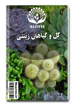 مازرون ® | سامانه اینترنتی، رسانه و پلتفرم آنلاین استان مازندران